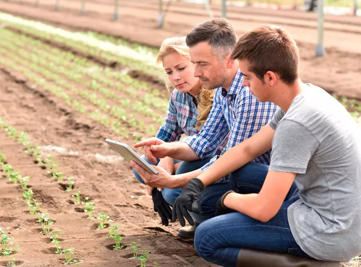 Students in agriculture learning about organic greenhouse