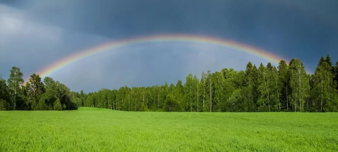 A green field surrounded by trees with a rainbow over it