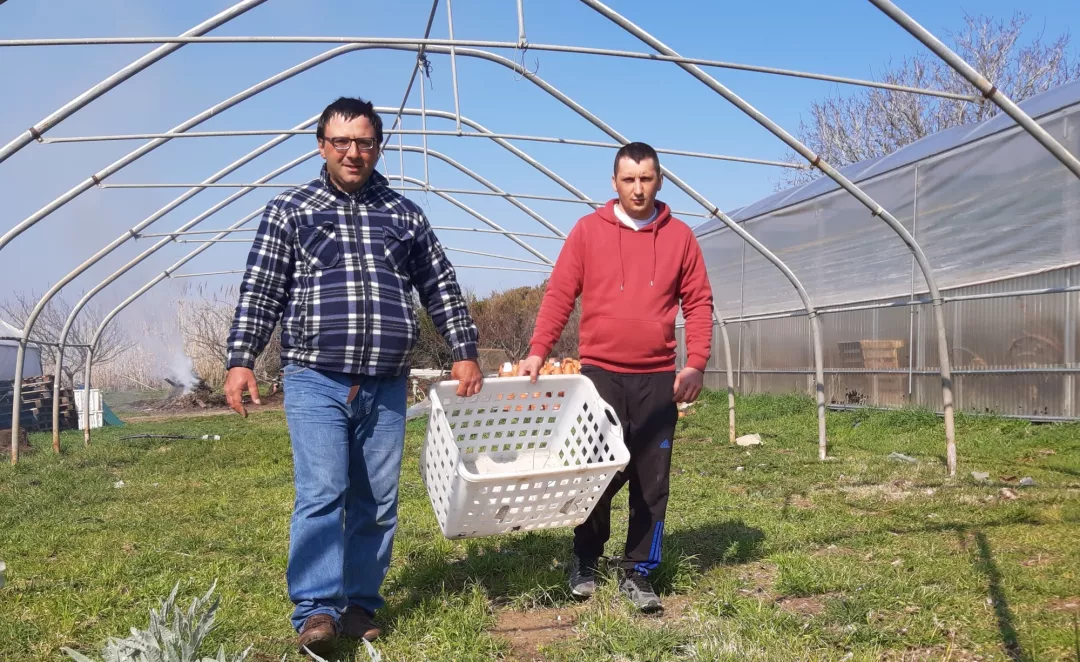 Two male farmers carry an empty basket together through a field