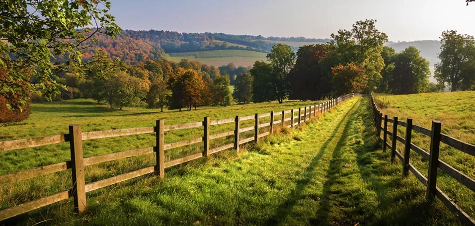 Autumn countryside scene with wooden fence and trees, showcasing the beauty of the season.