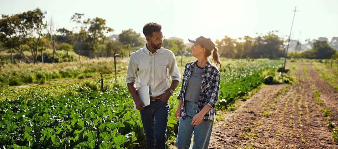 Agriculture manager and farmer meeting, talking and discussing while walking on a farm outside