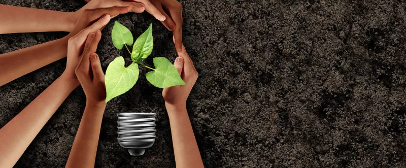 Hands around a plant, symbolizing growth and innovation