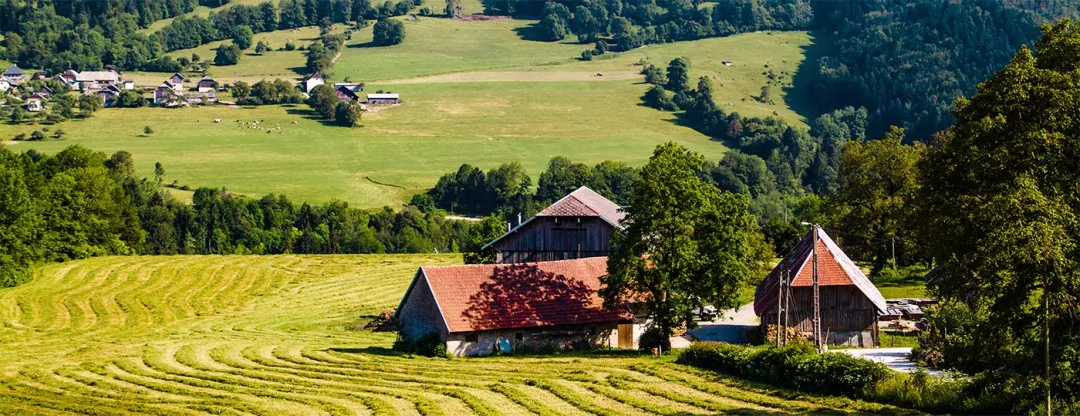 a farm with a house and trees