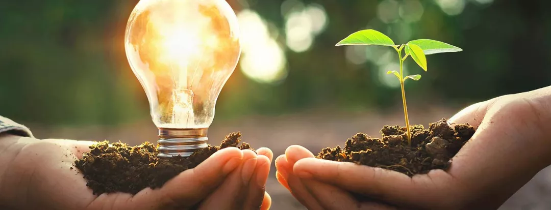 Hands holding soil with a lightbulb and a plant