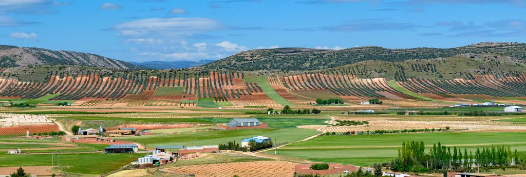 Fields seen from the Calderico hill