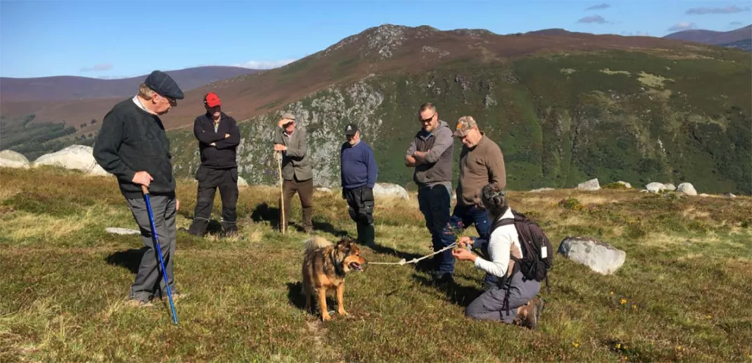 a group of people standing in a grassy area with a dog