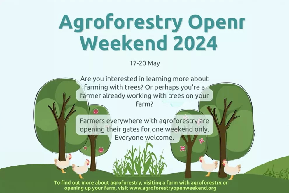 Agroforestry Open Weekend 2024 main image created for the event