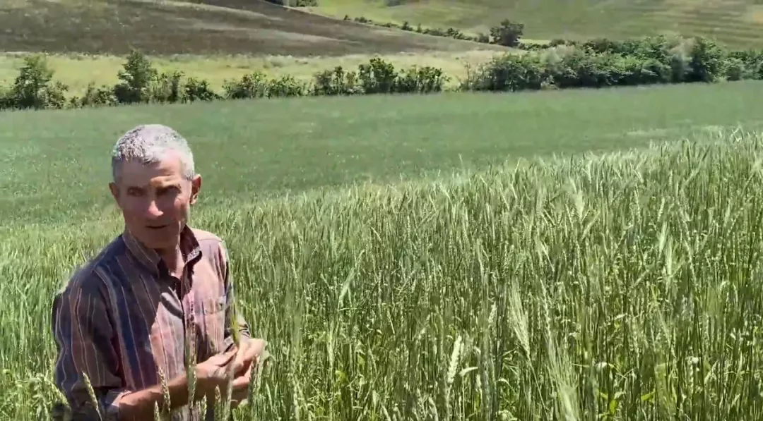 A man in a field