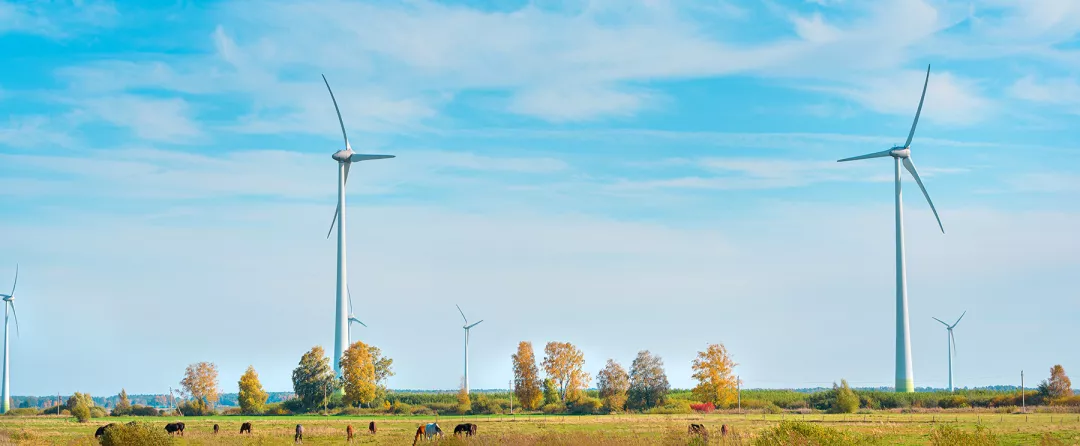 Electric wind farm