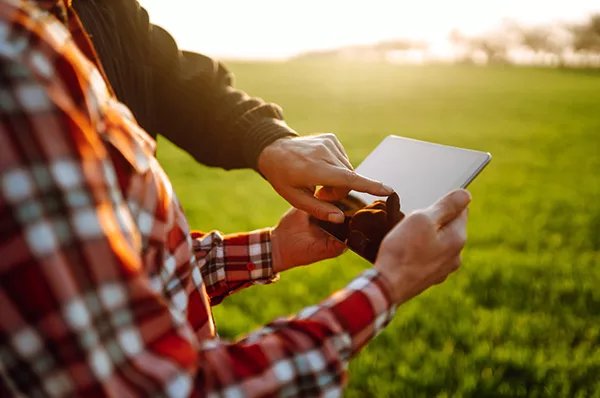 Farmers reading and discussing a report in a tablet computer on an agriculture field