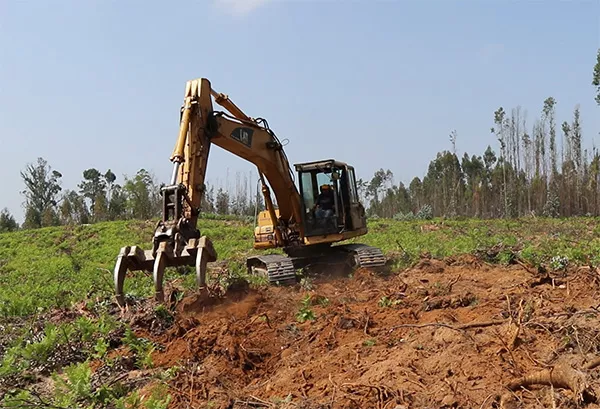 a construction vehicle in a field