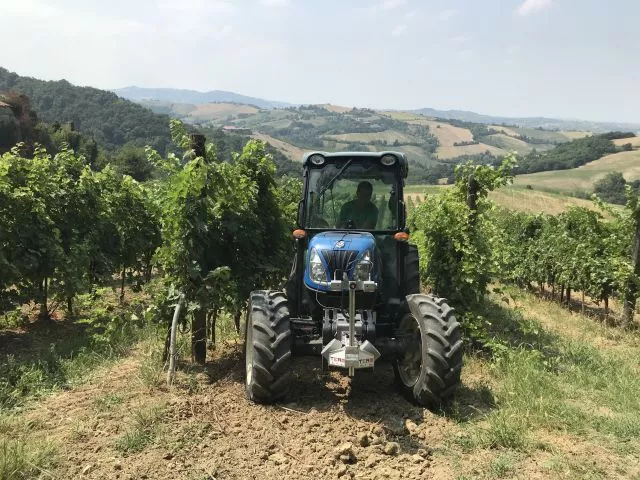 a tractor in a vineyard