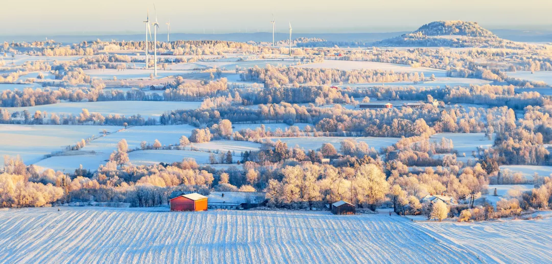 Snow and frost in a cold winter in the country