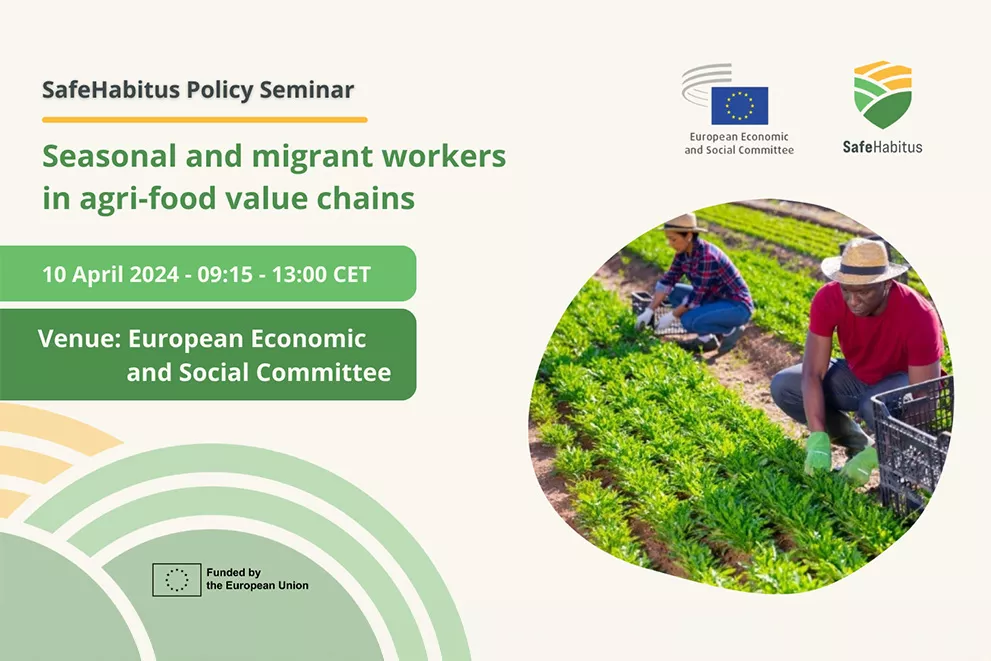 Visual policy seminar migrant workers