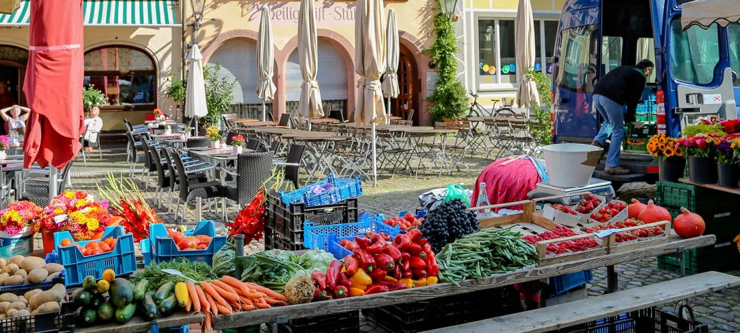 Flowers, fruits and vegetable vendors at the Farmer's market in Freiburg, Germany.