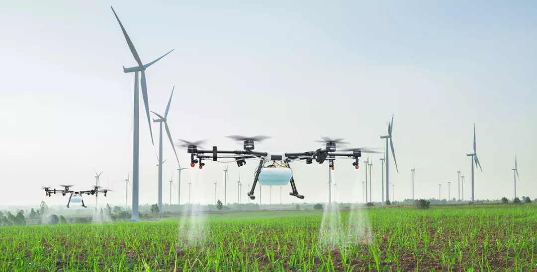 drone fly to spray fertilizer over field