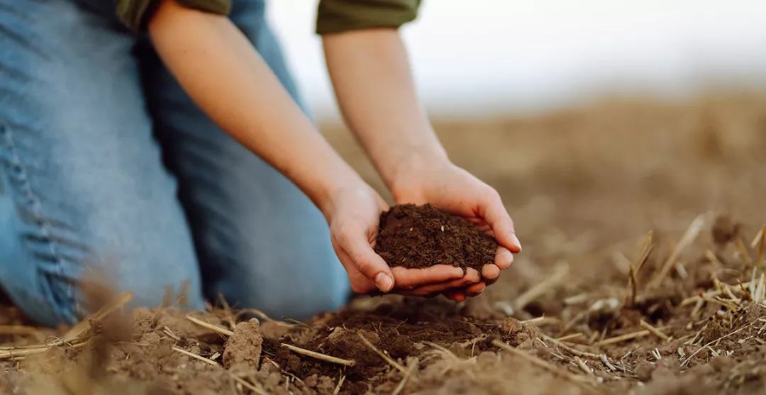 Farmer holding ground is his hands