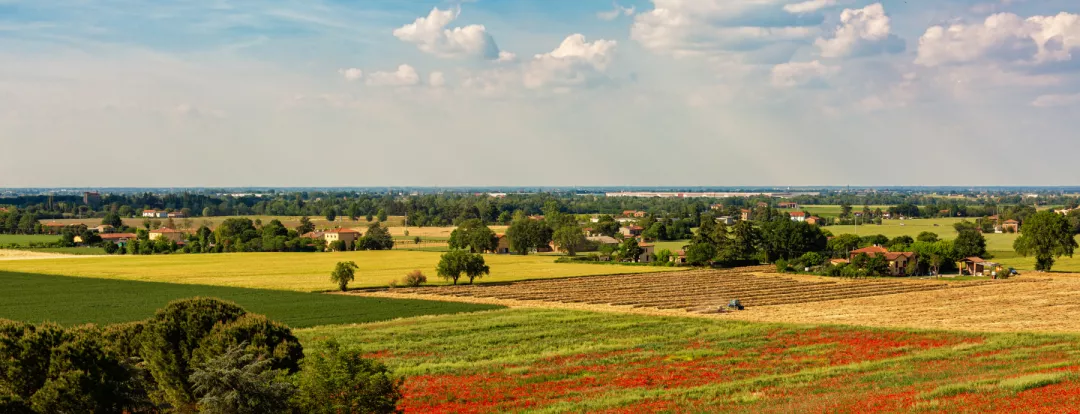 Italian rural landscape with beautiful field of red poppies, agriculture. Spring time. Italy, Emilia Romagna, Bologna region.