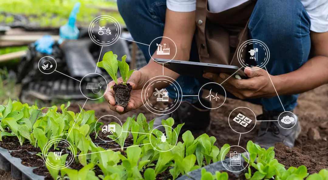 a person holding a tablet and analyzing plants