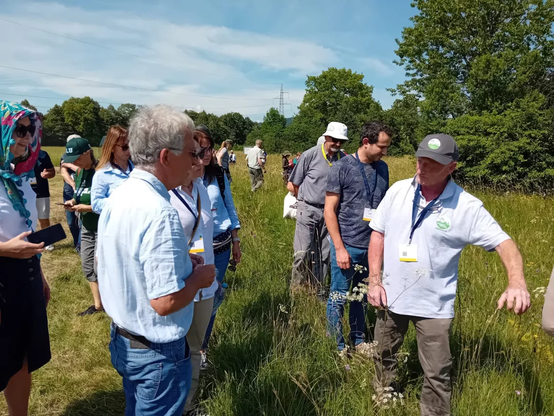 participants during field visit in Ljubljana marshes