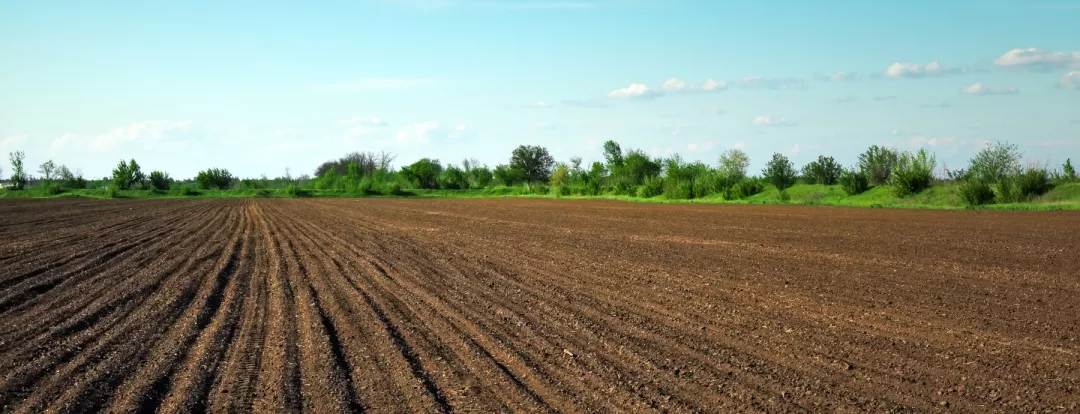 Preparing field for planting. Plowed soil in spring time with two tubes and blue sky.