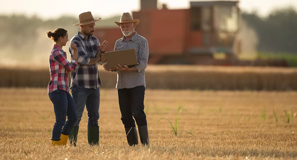 Three farmers with laptop