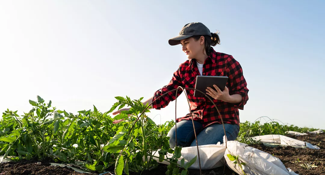 A woman farmer with digital tablet in a field