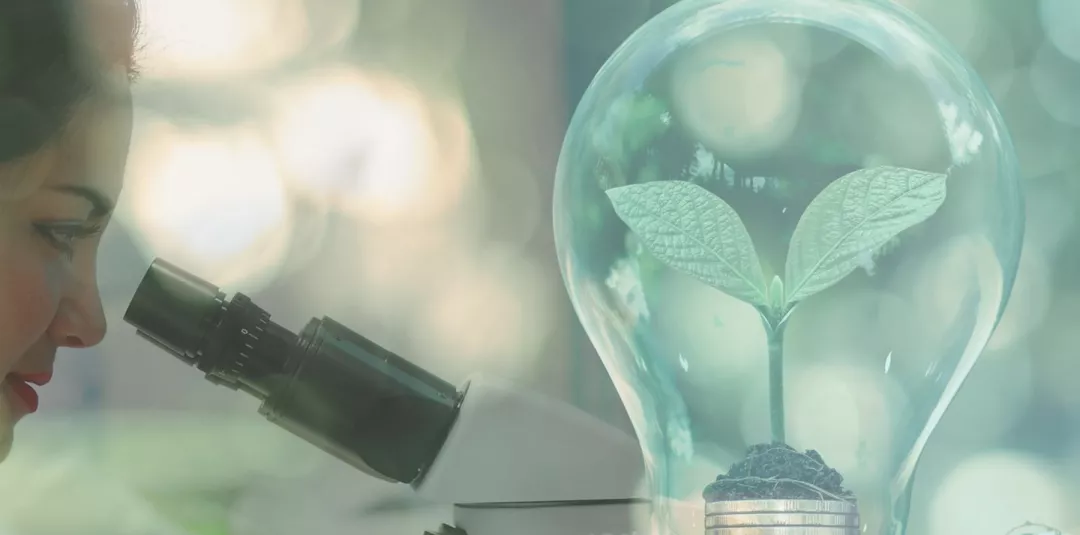 A light bulb with a plant inside