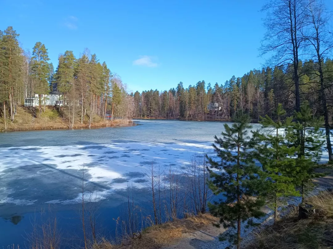 Learning about Finnish LAGs in Finland