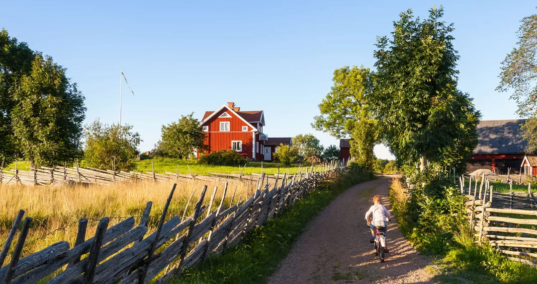 A child riding a bike down a dirt road