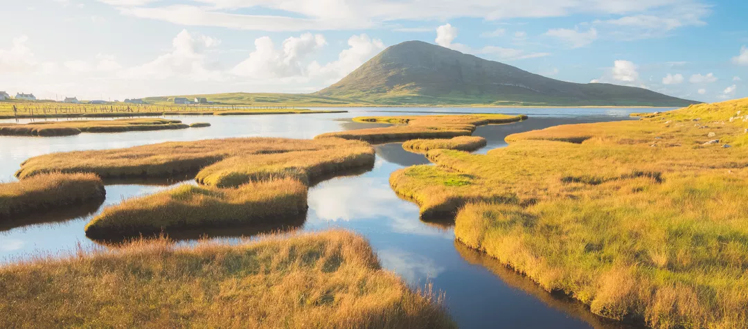 Beautiful golden light on the salt marsh mountain landscape