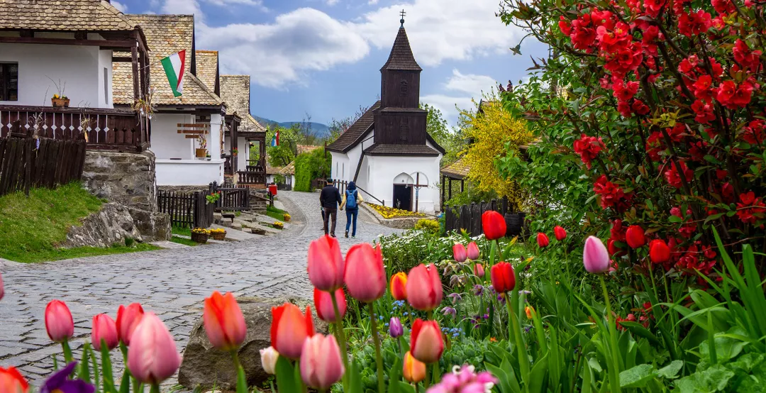 rural community in Hungary