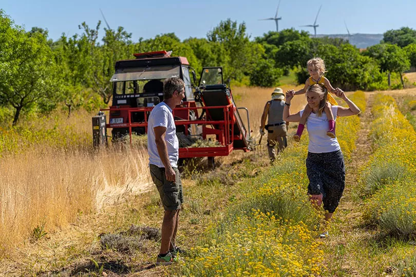 family on a field during harvest