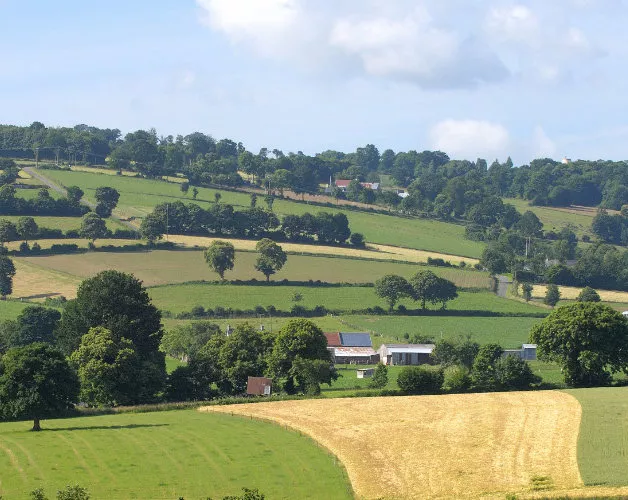 Comment promouvoir de nouvelles méthodes pratiques pour une meilleure gestion durable des terres agricoles abandonnées ?