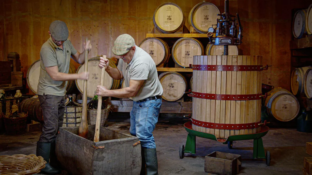 people in a winery crushing apples to make cider