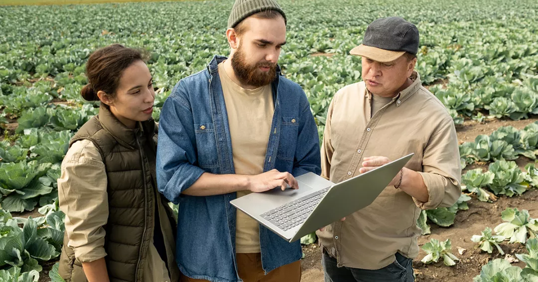 Three individuals stand in a field, engaged with a laptop, surrounded by greenery and open space