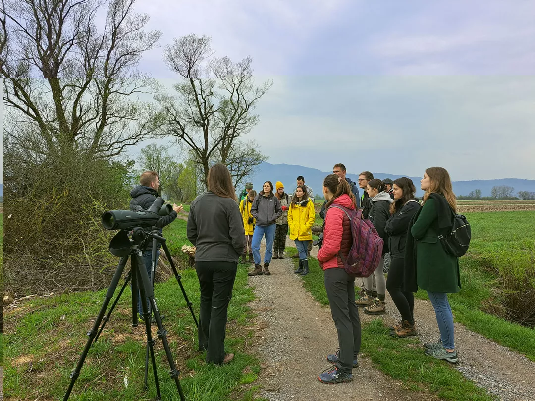 study visit students to see how lapwing nests are protected 