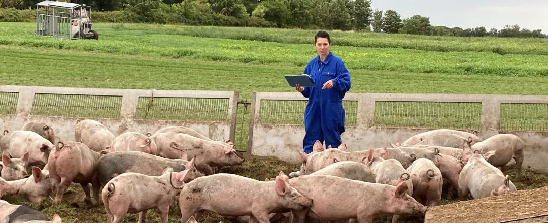 Women in an outdoor pig pen