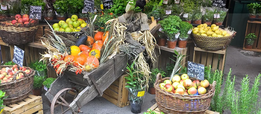 Autumn market with pumpkin, apples, greenery and decoration