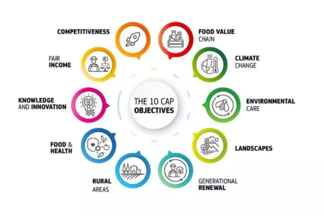 diagram illustrating each of the ten Common Agricultural Policy specific objectives