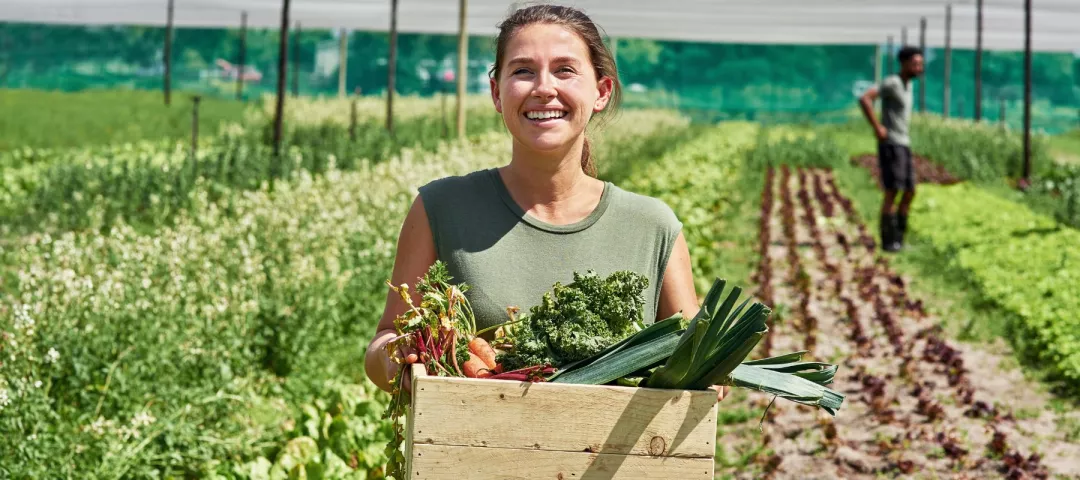 Portrait of a young farmer carrying a crate full of vegetables outdoors on a farm