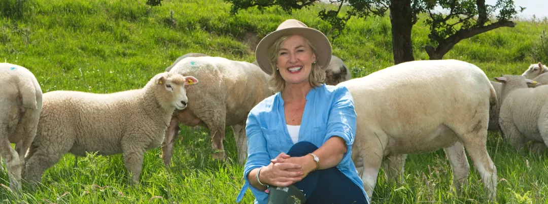 a woman is sitting in front of a heard of sheeps