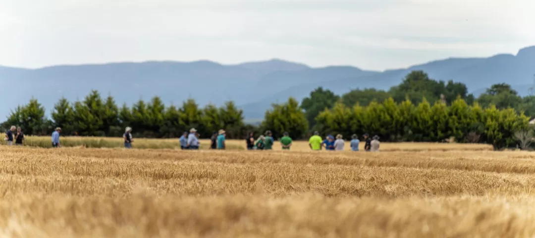 A group of people in a field