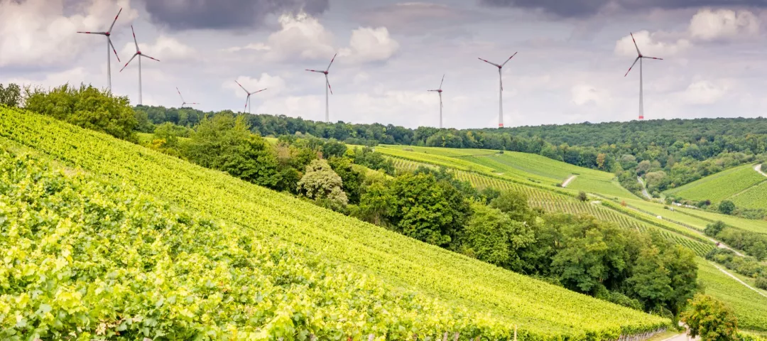 Growing wine and windpower in Franconia