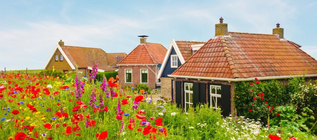 Houses in a rural village in the Netherlands