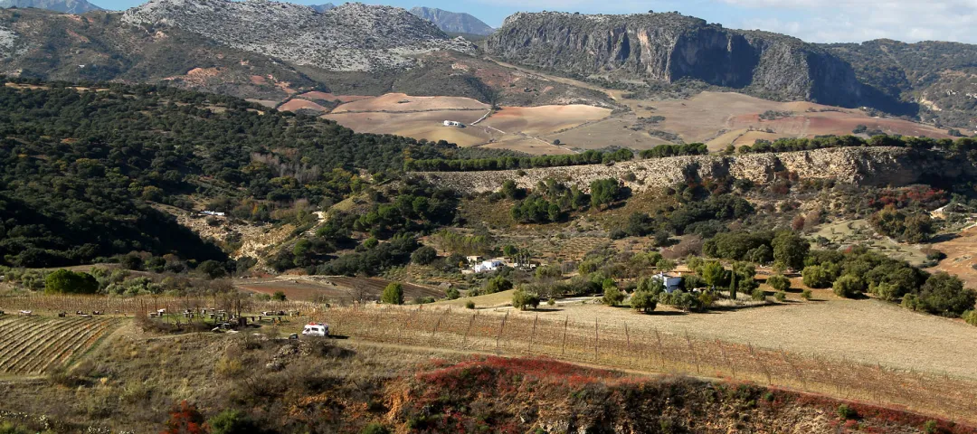  Aerial view of countryside town