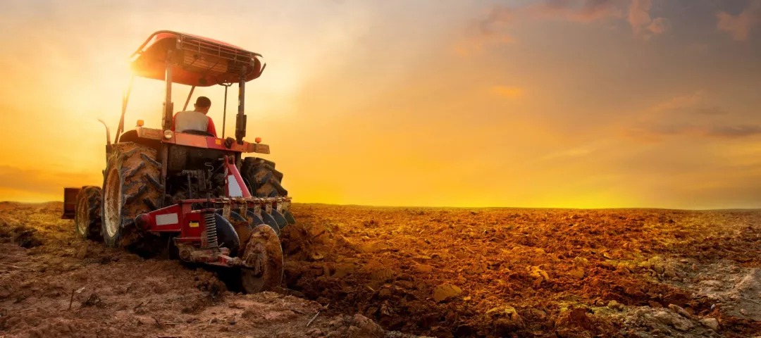tractor is preparing the soil for planting over sunset sky background