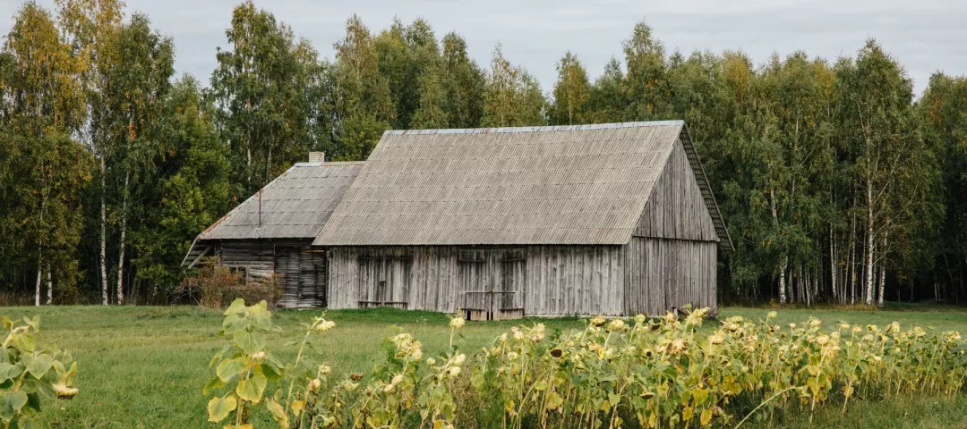 Typical old Latvian barn in the Latvian countryside