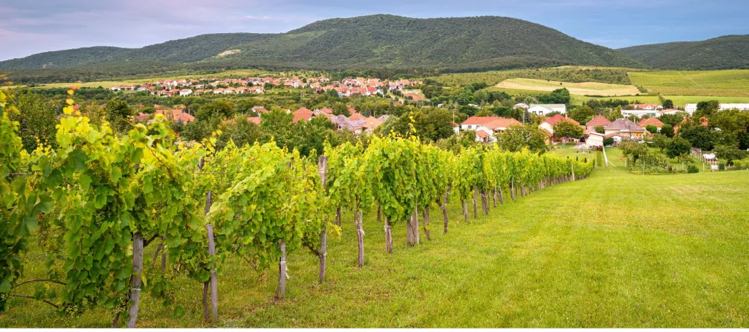 View of the village of Felsőtárkány, near the city of Eger, Hungary. Hills and many vineyards can be found in this area.