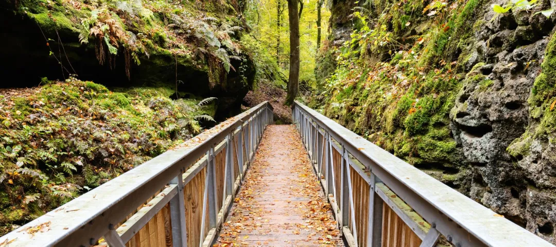 Hiking trail in Luxembourg